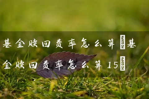 基金赎回费率怎么算(基金赎回费率怎么算15) 基金基础教程 第1张-学习理财网 基金赎回费率怎么算(基金赎回费率怎么算15) (https://www.cnq.net/) 基金基础教程 第1张