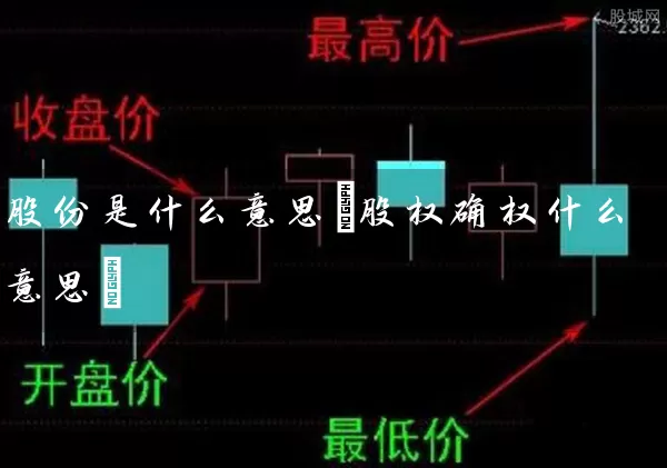 股份是什么意思(股权确权什么意思) (https://www.cnq.net/) 股票基础教程 第1张