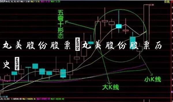 丸美股份股票(丸美股份股票历史) (https://www.cnq.net/) 股票基础教程 第1张