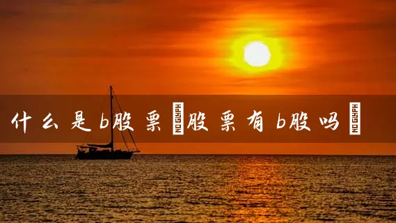 什么是b股票(股票有b股吗) (https://www.cnq.net/) 股票基础教程 第1张