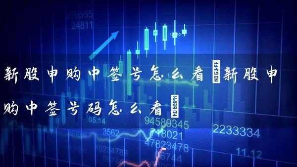 新股申购中签号怎么看(新股申购中签号码怎么看) (https://www.cnq.net/) 股票基础教程 第1张