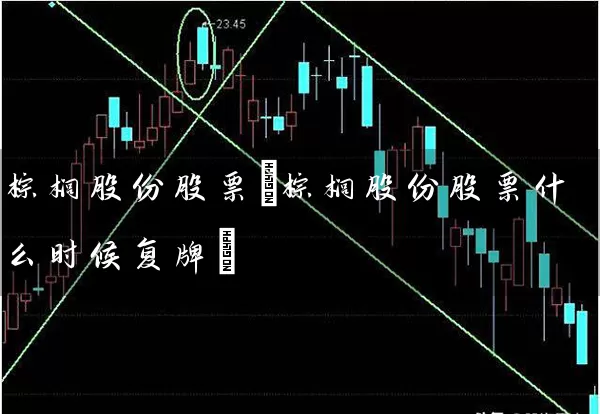 棕榈股份股票(棕榈股份股票什么时候复牌) 股票基础教程 第1张-学习理财网 棕榈股份股票(棕榈股份股票什么时候复牌) (https://www.cnq.net/) 股票基础教程 第1张
