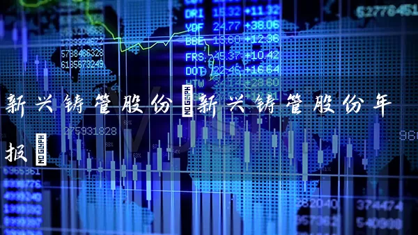 新兴铸管股份(新兴铸管股份年报) (https://www.cnq.net/) 股票基础教程 第1张