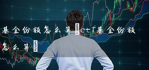 基金份额怎么算(etf基金份额怎么算) (https://www.cnq.net/) 基金基础教程 第1张