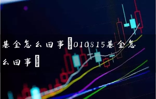 基金怎么回事(010815基金怎么回事) (https://www.cnq.net/) 基金基础教程 第1张