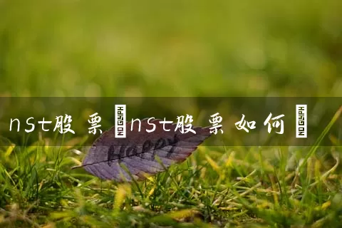 nst股票(nst股票如何) 股票基础教程 第1张-学习理财网 nst股票(nst股票如何) (https://www.cnq.net/) 股票基础教程 第1张