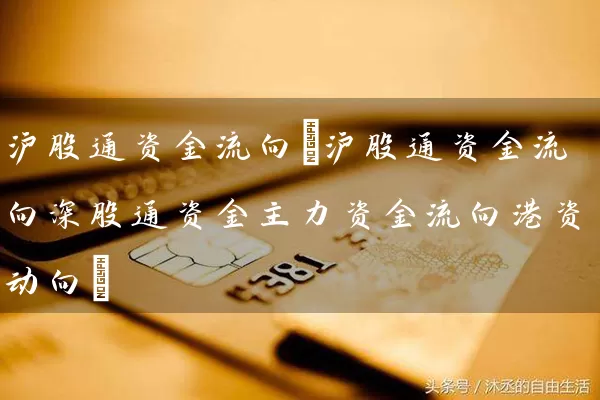 沪股通资金流向(沪股通资金流向深股通资金主力资金流向港资动向) (https://www.cnq.net/) 股票基础教程 第1张