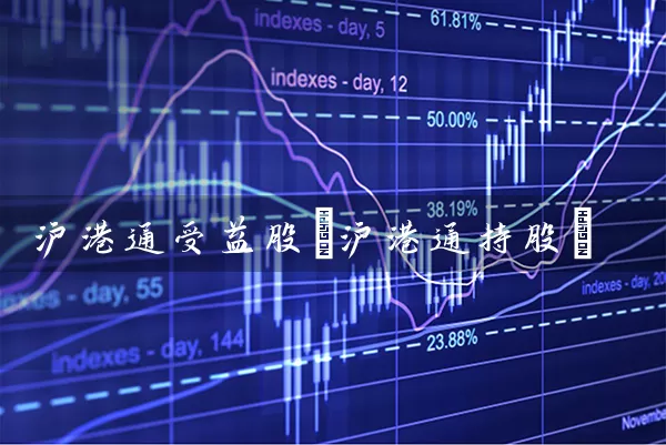 沪港通受益股(沪港通持股) (https://www.cnq.net/) 股票基础教程 第1张