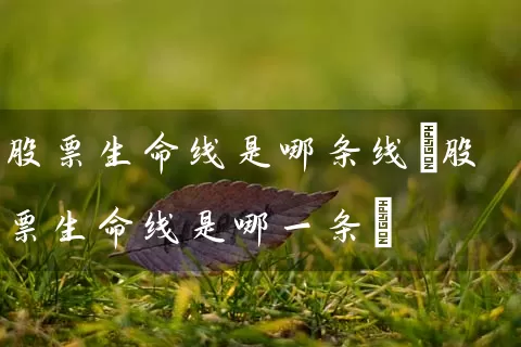股票生命线是哪条线(股票生命线是哪一条) 股票基础教程 第1张-学习理财网 股票生命线是哪条线(股票生命线是哪一条) (https://www.cnq.net/) 股票基础教程 第1张