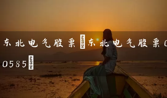 东北电气股票(东北电气股票000585) (https://www.cnq.net/) 股票基础教程 第1张