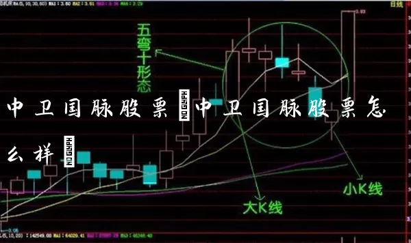 中卫国脉股票(中卫国脉股票怎么样) 股票基础教程 第1张-学习理财网 中卫国脉股票(中卫国脉股票怎么样) (https://www.cnq.net/) 股票基础教程 第1张
