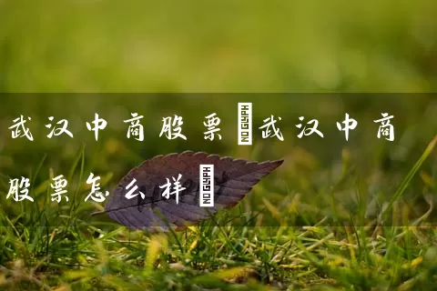 武汉中商股票(武汉中商股票怎么样) (https://www.cnq.net/) 股票基础教程 第1张