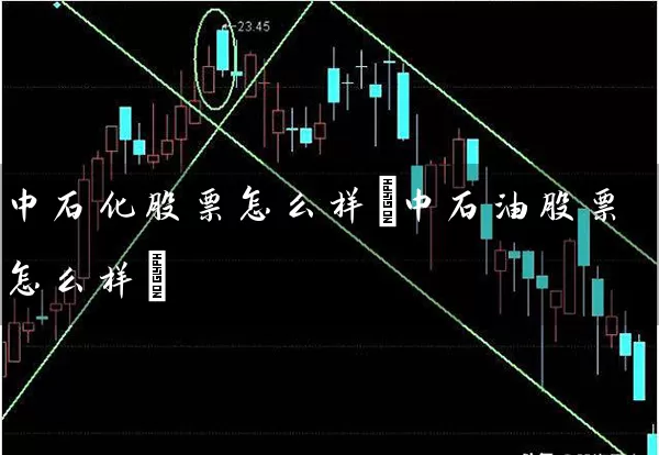 中石化股票怎么样(中石油股票怎么样) 股票基础教程 第1张-学习理财网 中石化股票怎么样(中石油股票怎么样) (https://www.cnq.net/) 股票基础教程 第1张