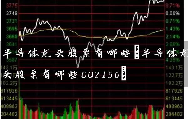 半导体龙头股票有哪些(半导体龙头股票有哪些002156) (https://www.cnq.net/) 股票基础教程 第1张