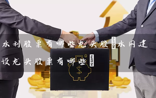 水利股票有哪些龙头股(水网建设龙头股票有哪些) (https://www.cnq.net/) 股票基础教程 第1张
