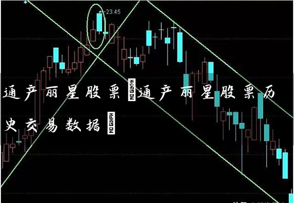 通产丽星股票(通产丽星股票历史交易数据) (https://www.cnq.net/) 股票基础教程 第1张
