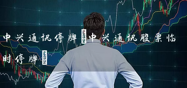 中兴通讯停牌(中兴通讯股票临时停牌) (https://www.cnq.net/) 股票基础教程 第1张
