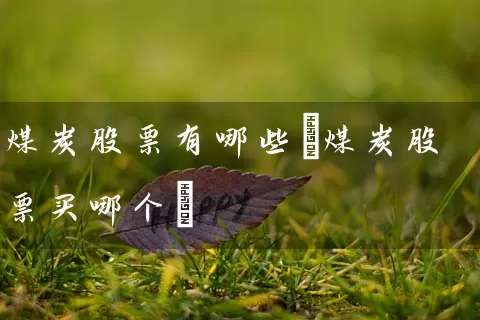 煤炭股票有哪些(煤炭股票买哪个) 股票基础教程 第1张-学习理财网 煤炭股票有哪些(煤炭股票买哪个) (https://www.cnq.net/) 股票基础教程 第1张