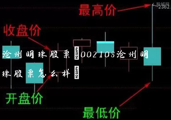 沧州明珠股票(002108沧州明珠股票怎么样) (https://www.cnq.net/) 股票基础教程 第1张