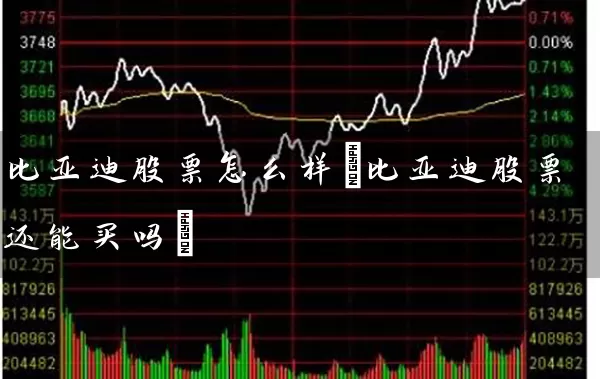 比亚迪股票怎么样(比亚迪股票还能买吗) (https://www.cnq.net/) 股票基础教程 第1张