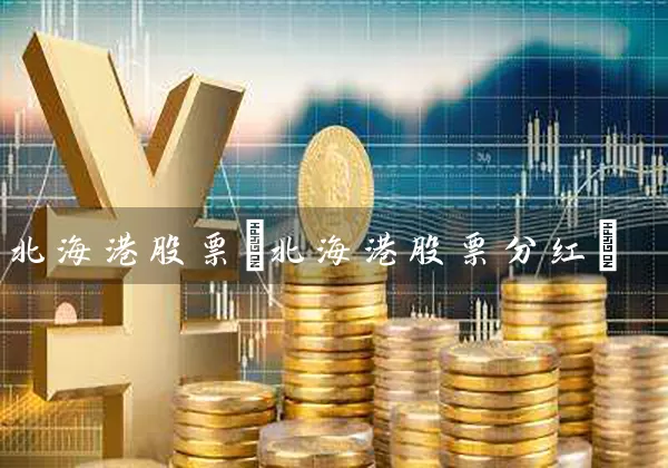 北海港股票(北海港股票分红) (https://www.cnq.net/) 股票基础教程 第1张