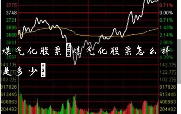煤气化股票(煤气化股票怎么样是多少) (https://www.cnq.net/) 股票基础教程 第1张