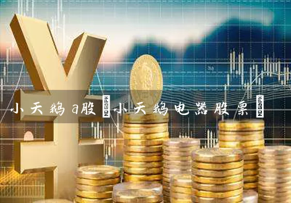 小天鹅a股(小天鹅电器股票) (https://www.cnq.net/) 股票基础教程 第1张