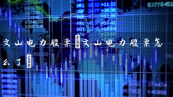 文山电力股票(文山电力股票怎么了) (https://www.cnq.net/) 股票基础教程 第1张