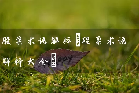 股票术语解释(股票术语解释大全) (https://www.cnq.net/) 股票基础教程 第1张