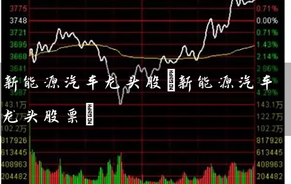 新能源汽车龙头股(新能源汽车龙头股票) (https://www.cnq.net/) 股票基础教程 第1张