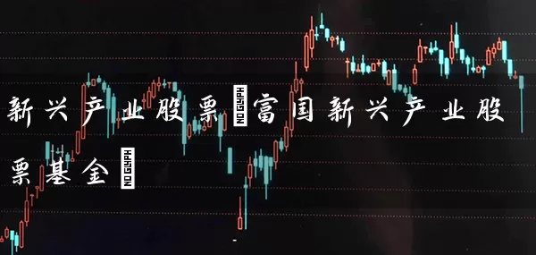 新兴产业股票(富国新兴产业股票基金) (https://www.cnq.net/) 股票基础教程 第1张