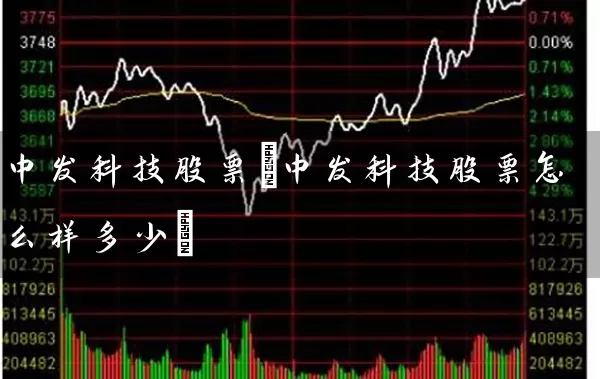 中发科技股票(中发科技股票怎么样多少) (https://www.cnq.net/) 股票基础教程 第1张