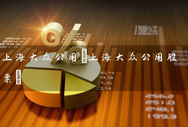 上海大众公用(上海大众公用股票) (https://www.cnq.net/) 股票基础教程 第1张