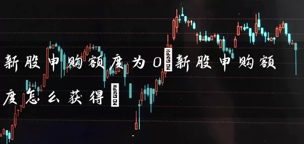 新股申购额度为0(新股申购额度怎么获得) (https://www.cnq.net/) 股票基础教程 第1张