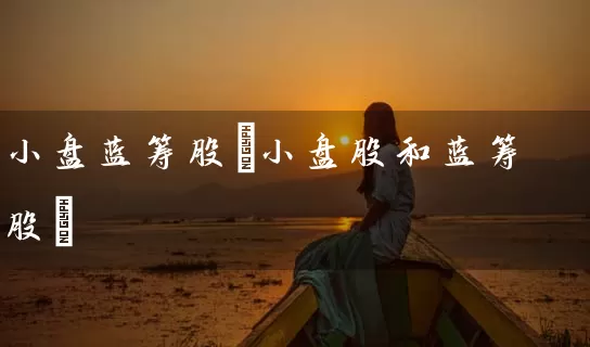 小盘蓝筹股(小盘股和蓝筹股) 股票基础教程 第1张-学习理财网 小盘蓝筹股(小盘股和蓝筹股) (https://www.cnq.net/) 股票基础教程 第1张