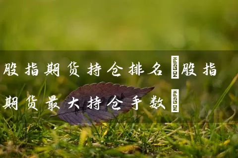 股指期货持仓排名(股指期货最大持仓手数) (https://www.cnq.net/) 股票基础教程 第1张