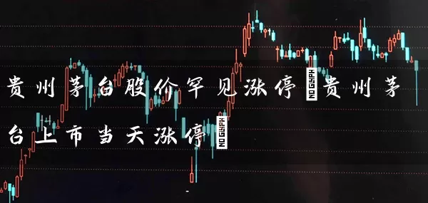 贵州茅台股价罕见涨停(贵州茅台上市当天涨停) (https://www.cnq.net/) 股票基础教程 第1张