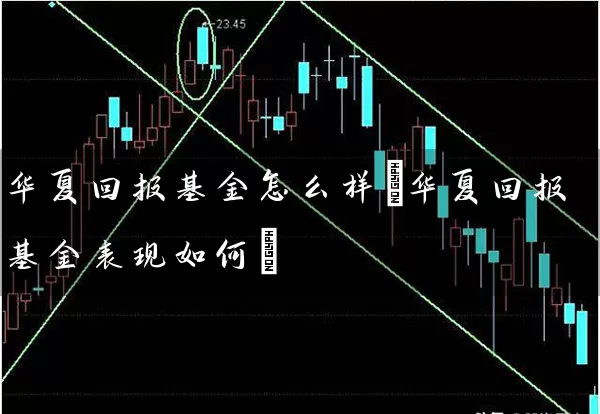 华夏回报基金怎么样(华夏回报基金表现如何) (https://www.cnq.net/) 基金基础教程 第1张