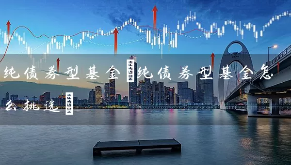 纯债券型基金(纯债券型基金怎么挑选) 基金基础教程 第1张-学习理财网 纯债券型基金(纯债券型基金怎么挑选) (https://www.cnq.net/) 基金基础教程 第1张