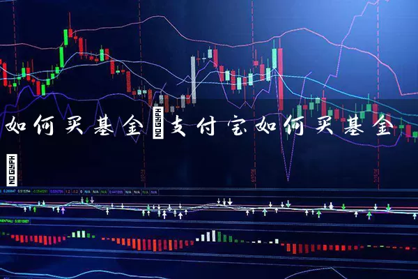 如何买基金(支付宝如何买基金) (https://www.cnq.net/) 基金基础教程 第1张