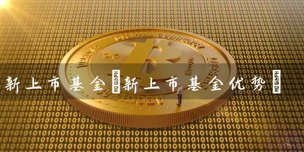 新上市基金(新上市基金优势) (https://www.cnq.net/) 基金基础教程 第1张