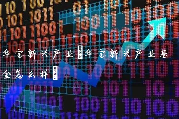 华宝新兴产业(华宝新兴产业基金怎么样) (https://www.cnq.net/) 基金基础教程 第1张