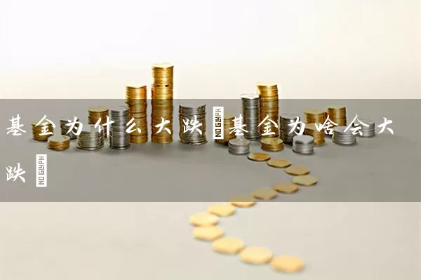 基金为什么大跌(基金为啥会大跌) (https://www.cnq.net/) 基金基础教程 第1张