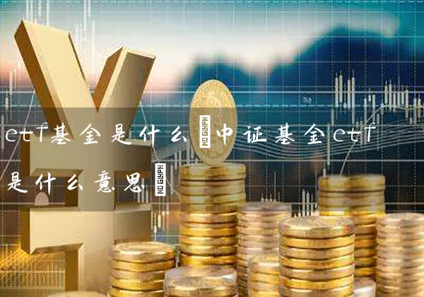 etf基金是什么(中证基金etf是什么意思) (https://www.cnq.net/) 基金基础教程 第1张
