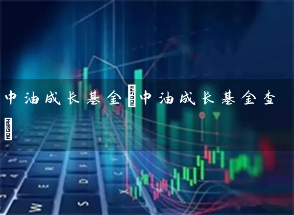 中油成长基金(中油成长基金查) (https://www.cnq.net/) 基金基础教程 第1张