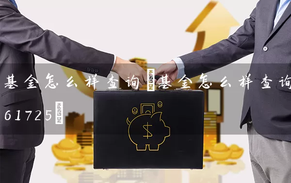 基金怎么样查询(基金怎么样查询161725) (https://www.cnq.net/) 基金基础教程 第1张