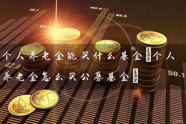 个人养老金能买什么基金(个人养老金怎么买公募基金) (https://www.cnq.net/) 基金基础教程 第1张