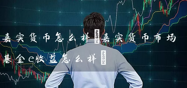 嘉实货币怎么样(嘉实货币市场基金e收益怎么样) (https://www.cnq.net/) 基金基础教程 第1张