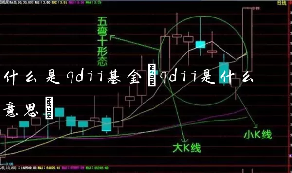 什么是qdii基金(qdii是什么意思) (https://www.cnq.net/) 基金基础教程 第1张