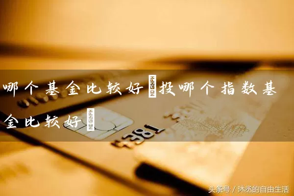 哪个基金比较好(投哪个指数基金比较好) (https://www.cnq.net/) 基金基础教程 第1张